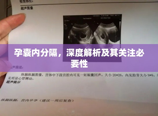 孕囊内分隔，深度解析及其关注必要性