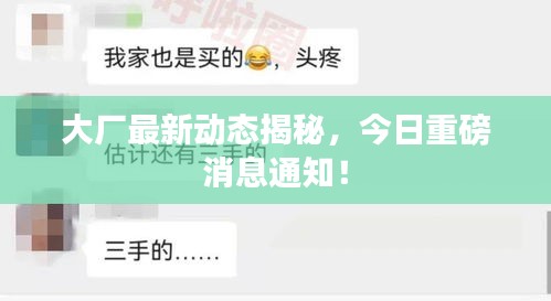 大厂最新动态揭秘，今日重磅消息通知！