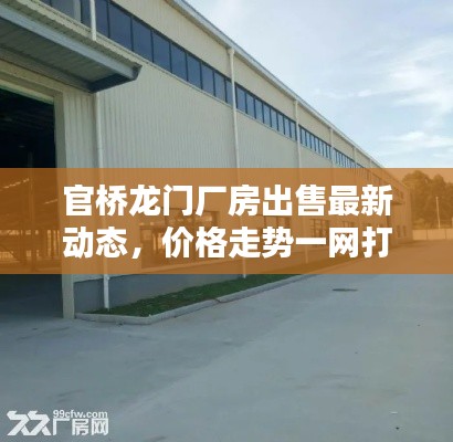 官桥龙门厂房出售最新动态，价格走势一网打尽！