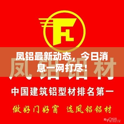 凤铝最新动态，今日消息一网打尽！