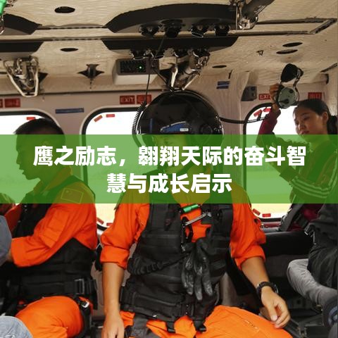 鹰之励志，翱翔天际的奋斗智慧与成长启示