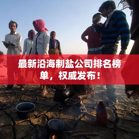 最新沿海制盐公司排名榜单，权威发布！
