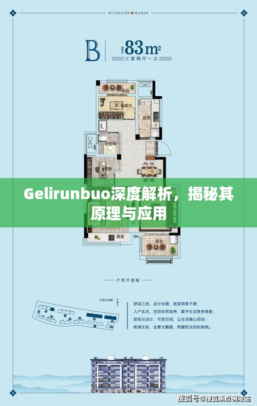 Gelirunbuo深度解析，揭秘其原理与应用