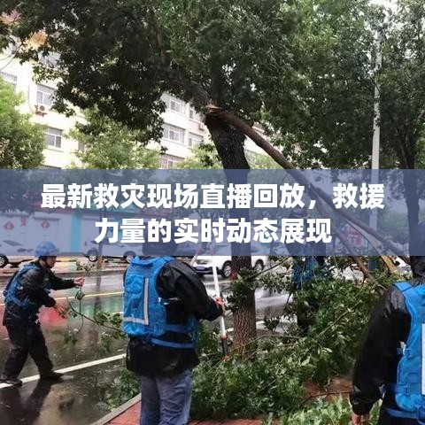 最新救灾现场直播回放，救援力量的实时动态展现