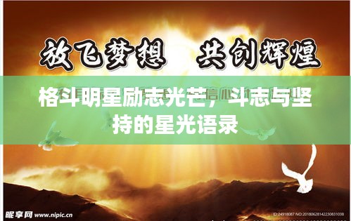 格斗明星励志光芒，斗志与坚持的星光语录
