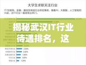 揭秘武汉IT行业待遇排名，这些公司薪资领跑市场！