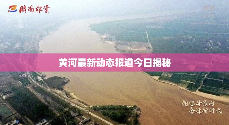 黄河最新动态报道今日揭秘