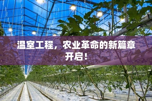 温室工程，农业革命的新篇章开启！