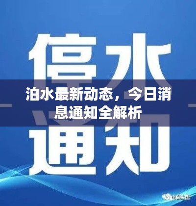 泊水最新动态，今日消息通知全解析