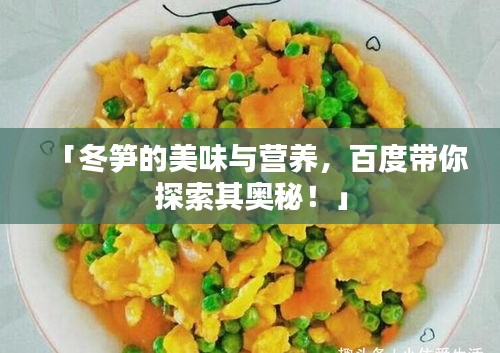 「冬笋的美味与营养，百度带你探索其奥秘！」