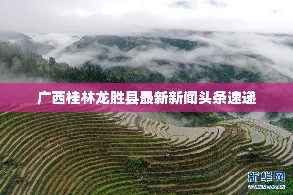 广西桂林龙胜县最新新闻头条速递
