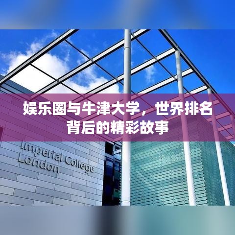 娱乐圈与牛津大学，世界排名背后的精彩故事