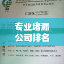 专业堵漏公司排名大揭秘！