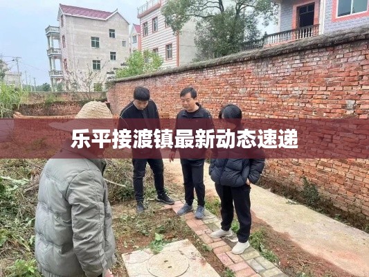 乐平接渡镇最新动态速递