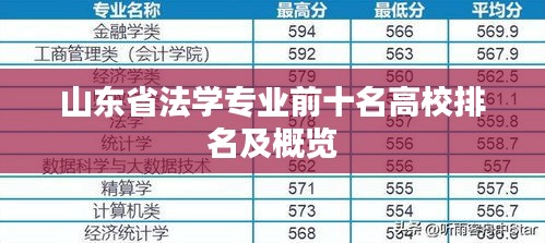 山东省法学专业前十名高校排名及概览