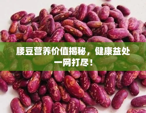 腰豆营养价值揭秘，健康益处一网打尽！