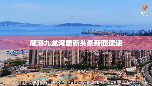 威海九龙湾最新头条新闻速递