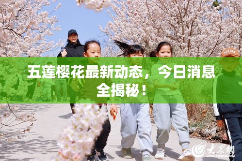 莺啼鸟啭 第2页