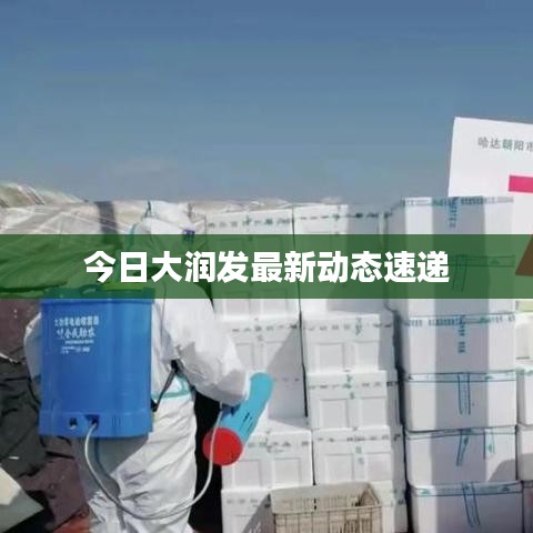 今日大润发最新动态速递