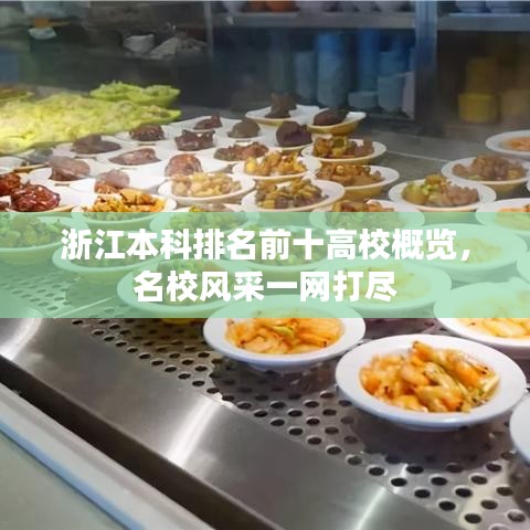 浙江本科排名前十高校概览，名校风采一网打尽
