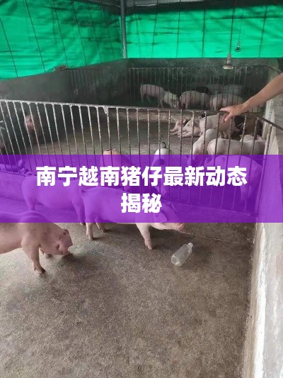计日程功 第2页