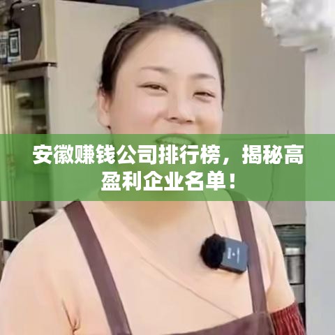 安徽赚钱公司排行榜，揭秘高盈利企业名单！