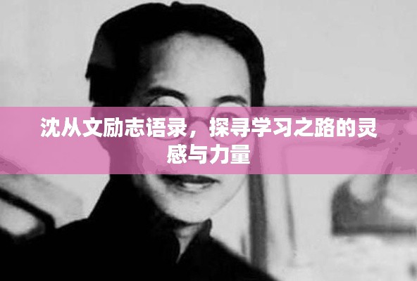 尽心尽力 第2页