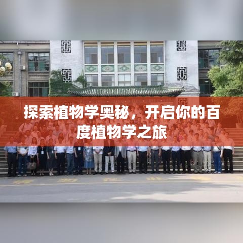 探索植物学奥秘，开启你的百度植物学之旅