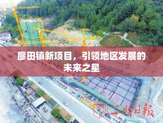 廖田镇新项目，引领地区发展的未来之星