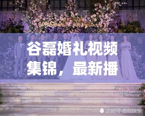 谷磊婚礼视频集锦，最新播放大全，甜蜜瞬间一网打尽！