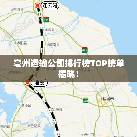 亳州运输公司排行榜TOP榜单揭晓！