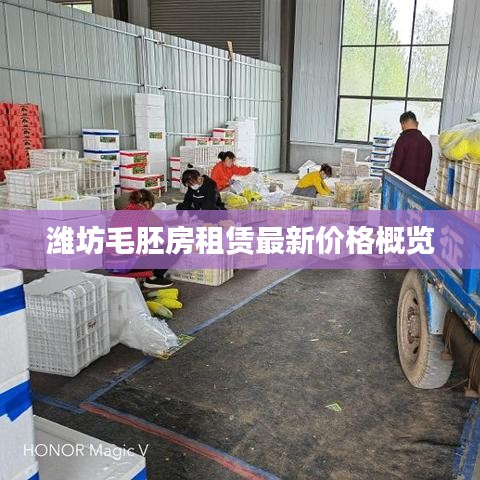 潍坊毛胚房租赁最新价格概览