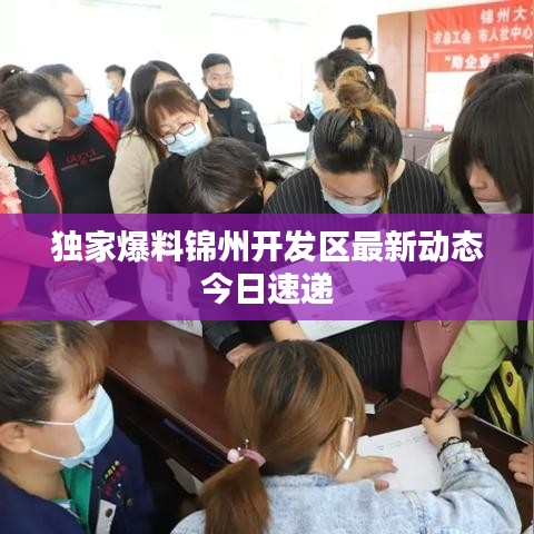 独家爆料锦州开发区最新动态今日速递
