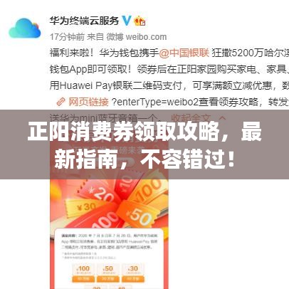 正阳消费券领取攻略，最新指南，不容错过！