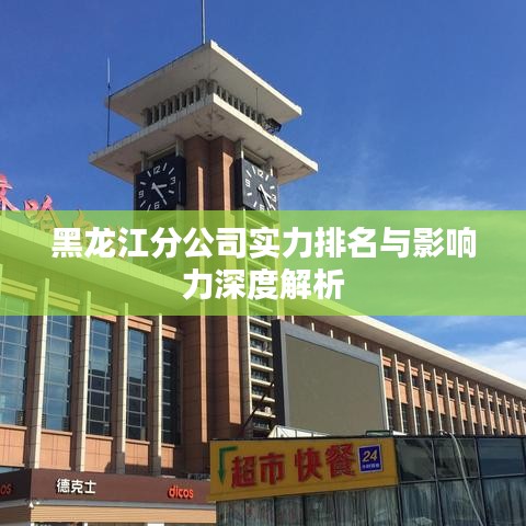 黑龙江分公司实力排名与影响力深度解析