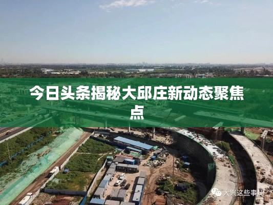 今日头条揭秘大邱庄新动态聚焦点