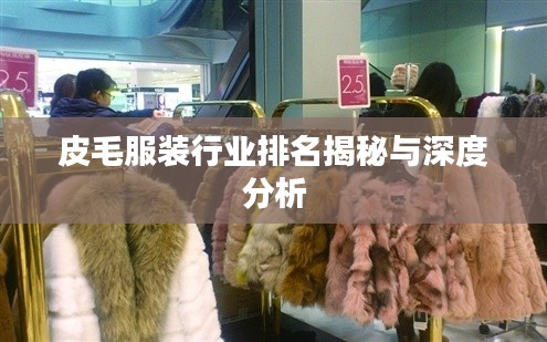 皮毛服装行业排名揭秘与深度分析