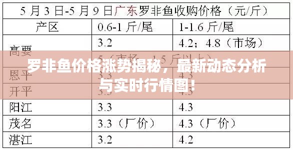 罗非鱼价格涨势揭秘，最新动态分析与实时行情图！