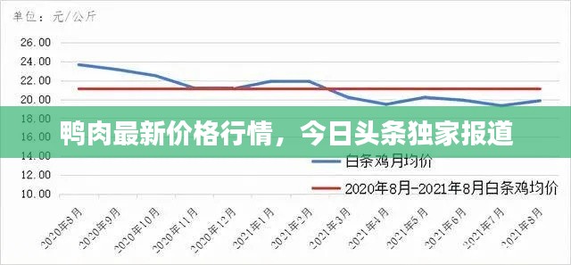 鸭肉最新价格行情，今日头条独家报道