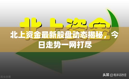 北上资金最新股盘动态揭秘，今日走势一网打尽