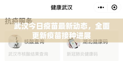 武汉今日疫苗最新动态，全面更新疫苗接种进展