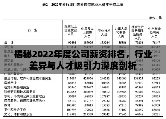 揭秘2022年度公司薪资排名，行业差异与人才吸引力深度剖析