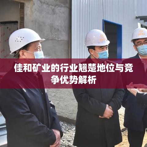 佳和矿业的行业翘楚地位与竞争优势解析