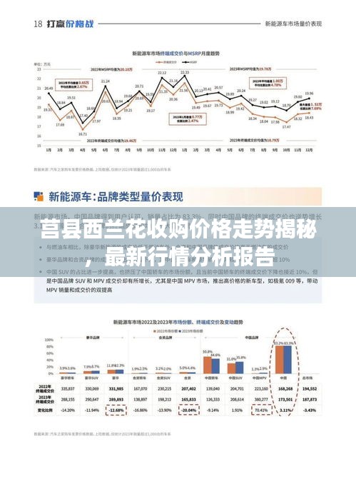 莒县西兰花收购价格走势揭秘，最新行情分析报告