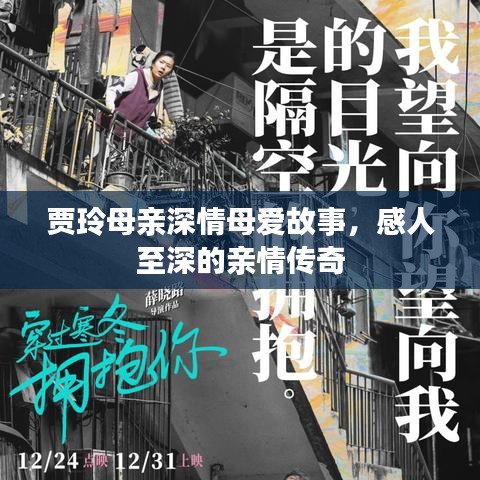 贾玲母亲深情母爱故事，感人至深的亲情传奇