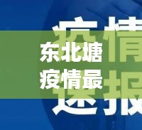 东北塘疫情最新动态，今日更新消息