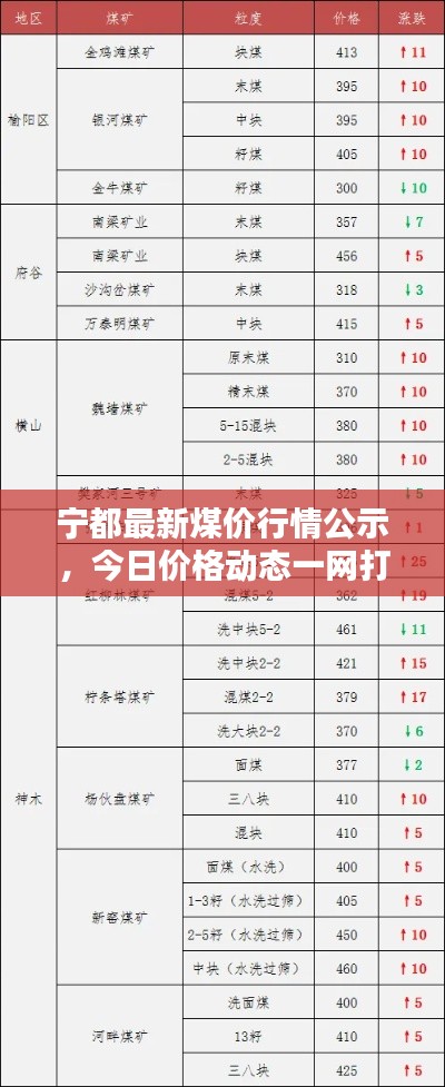 宁都最新煤价行情公示，今日价格动态一网打尽