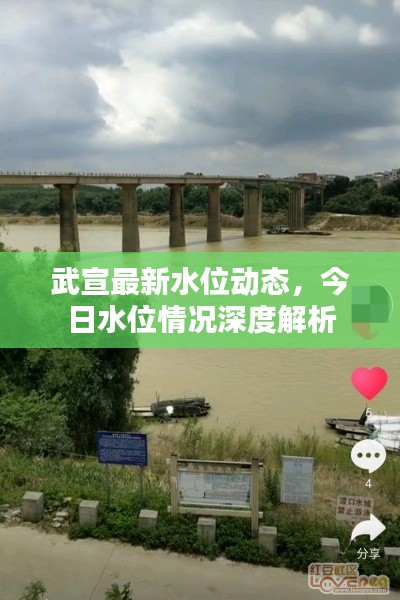 武宣最新水位动态，今日水位情况深度解析