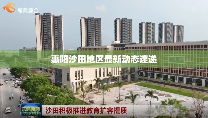 惠阳沙田地区最新动态速递