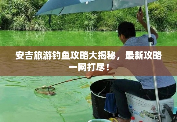 安吉旅游钓鱼攻略大揭秘，最新攻略一网打尽！